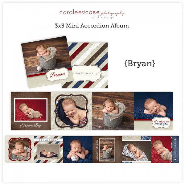 Accordion Mini Album Template Bryan sq
