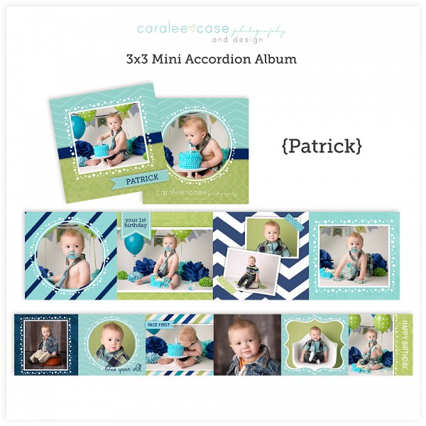 Accordion Mini Album Template Parrick lg
