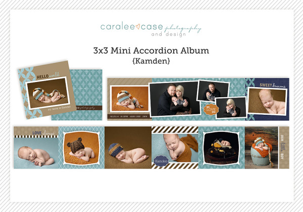 3x3 Mini Accordion Album Template Kamden
