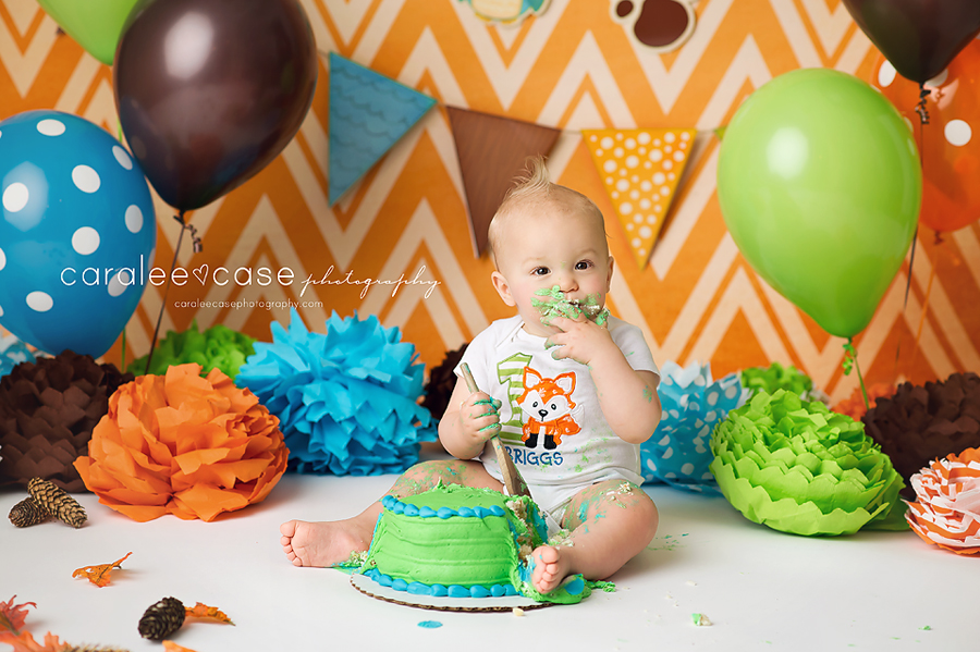 Idaho Falls, ID Child Baby Birthday Photographer ~ Caralee Case Photography