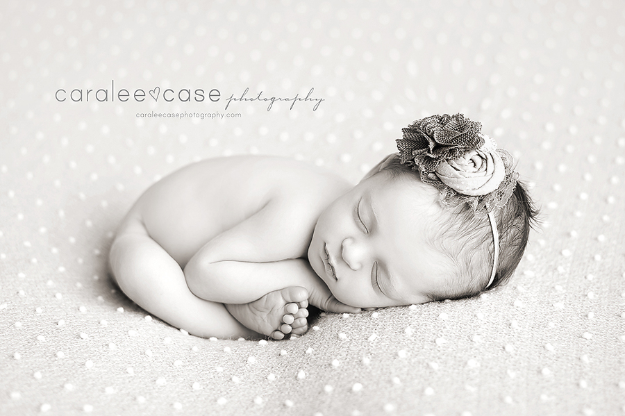 Southeast Idaho Newborn Infant Baby Photographer ~ Caralee Case Photography