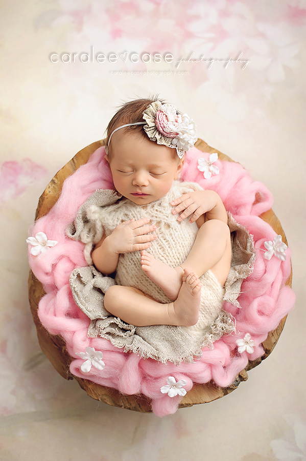 Rigby, ID Newborn Infant Baby Child Photographer ~ Caralee Case Photography