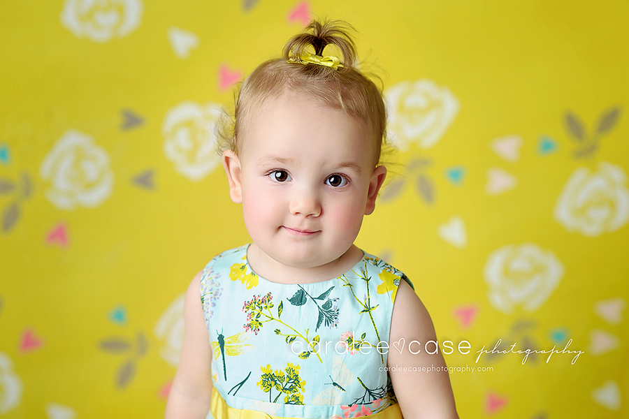Chubbuck Idaho Baby Child Birthday Photographer ~ Caralee Case Photography