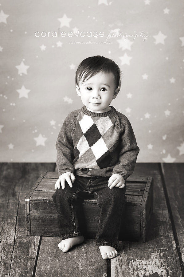 Rigby, ID Baby Child Birthday Photographer ~ Caralee Case Photography