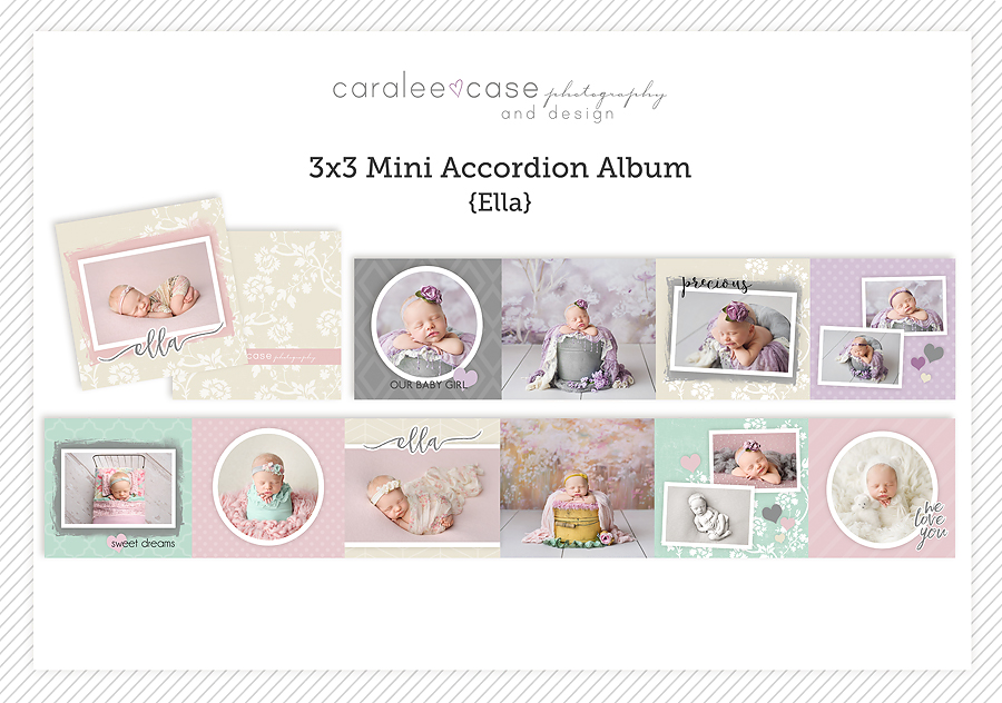 Mini Accordion Album Template ~ Caralee Case Photography store