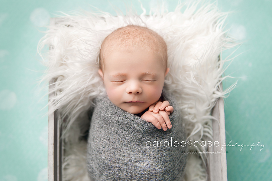 Shelley, Idaho Newborn Infant Baby Photographer ~ Caralee Case Photography