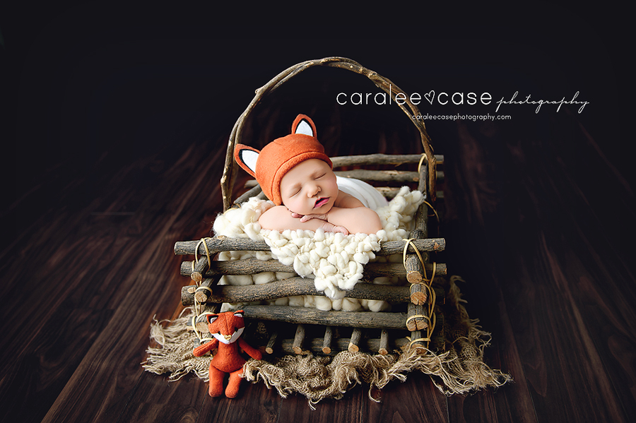 Jackson Hole Wyoming WY Newborn Infant Baby Studio Portrait Photographer ~ Caralee Case Photography