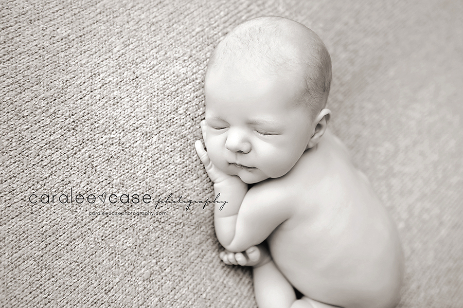 Blackfoot, Idaho Newborn Infant Baby Photographer ~ Caralee Case Photography