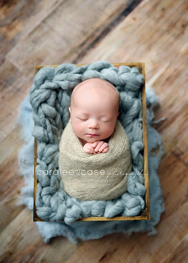 Shelley Idaho Newborn Infant Baby Photographer ~ Caralee Case Photography 