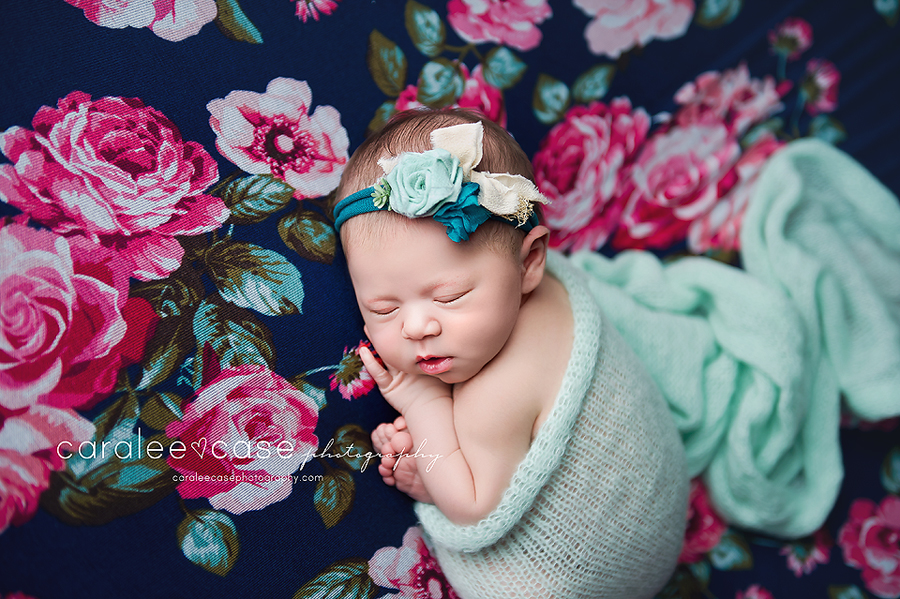 Caralee Case Photography Newborn Posing and Editing Workshop