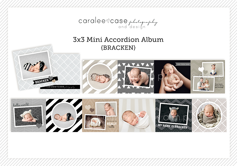 Caralee Case Photography Templates for Photographers Mini Albums Cards