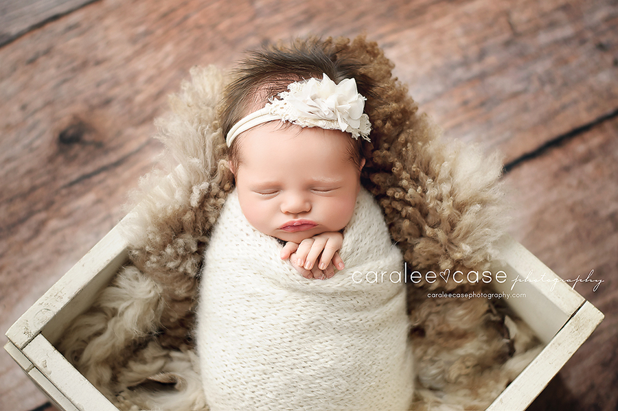 Soda Spring, Idaho Newborn Infant Baby Photographer ~ Caralee Case Photography