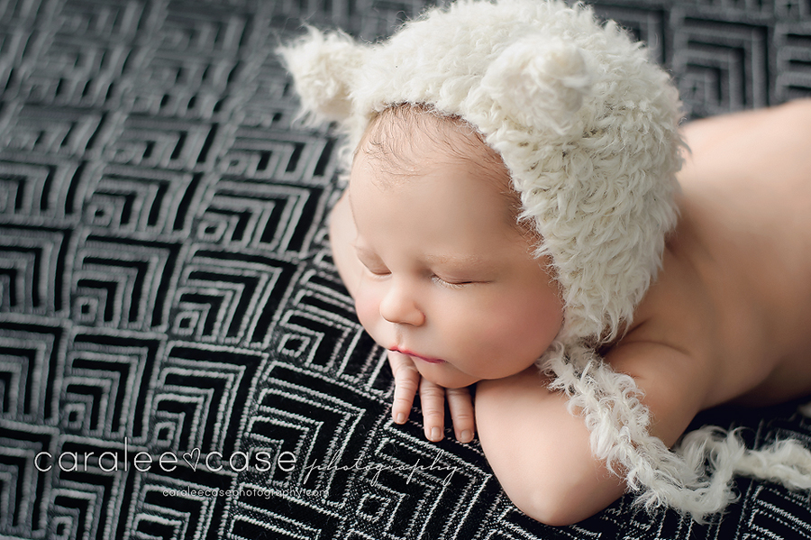 Shelley Idaho Newborn Baby Infant Photographer ~ Caralee Case Photography 