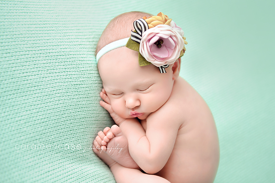 Idaho Falls, ID newborn infant baby studio portrait photographer ~ Caralee Case Photography