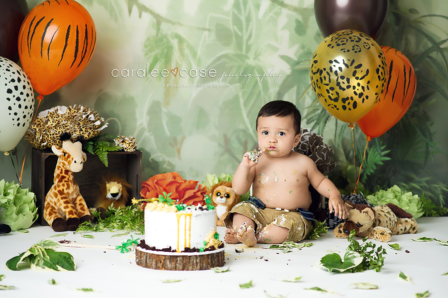 Idaho Falls, ID Baby Child One Year Birthday Cake Smash Photographer ~ Caralee Case