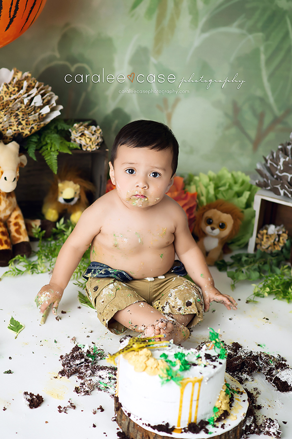 Idaho Falls, ID Baby Child One Year Birthday Cake Smash Photographer ~ Caralee Case