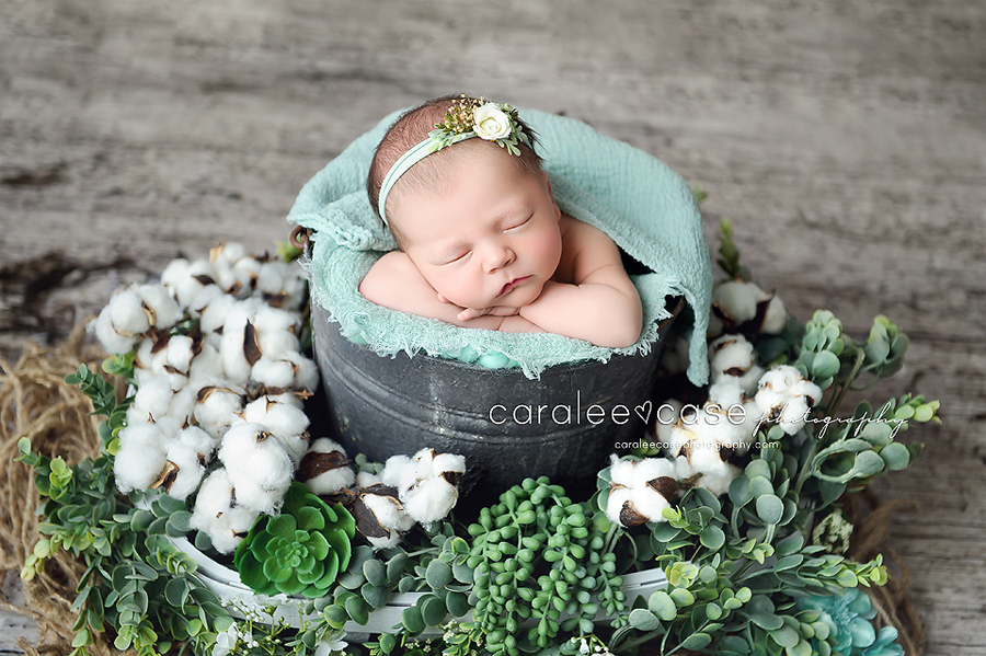 Idaho Falls, ID Baby Infant Newborn Photographer ~ Caralee Case Photography