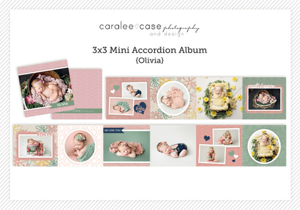 Olivia Mini Accordion AlbumTemplate Caralee Case Photography