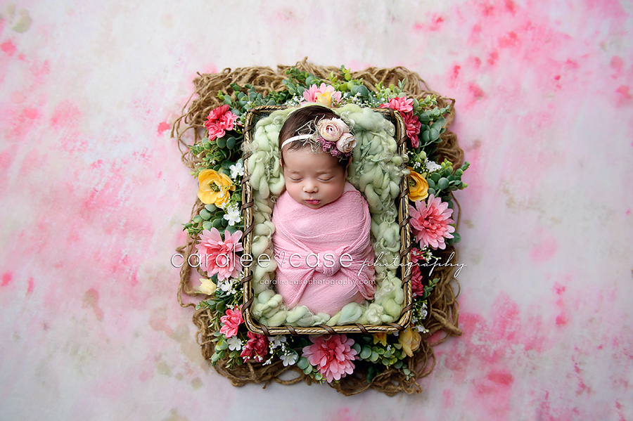 Idaho Falls, ID Newborn Infant Baby Photographer ~ Caralee Case Photography Workshop