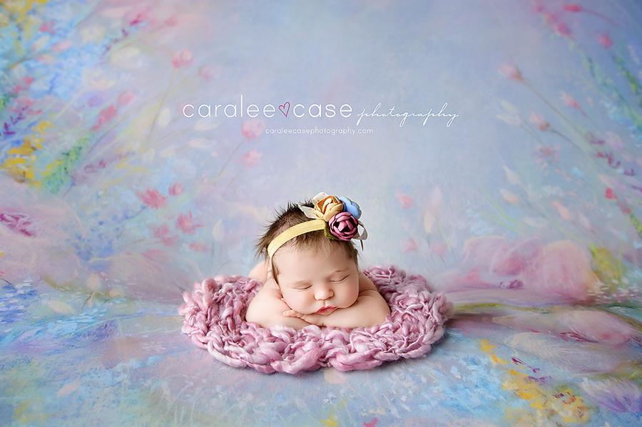 Caralee Case Photography Newborn Posing Lighting Workshop Teacher Mentor