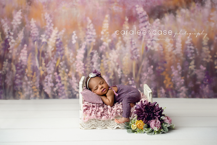 Caralee Case Photography Newborn Posing, Lighting, editing and Child Photographer Workshop USA 2019 Atlanta, Georgia