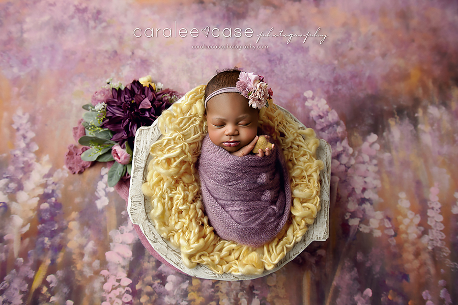 Caralee Case Photography Newborn Posing, Lighting, editing and Child Photographer Workshop USA 2019 Atlanta, Georgia