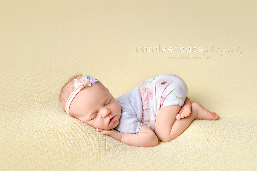 Caralee Case Photography Newborn Posing Workshop, Lighting, editing and Child Photographer Workshops