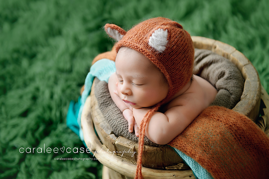 Caralee Case Photography Newborn Posing, Lighting, editing and Child Photographer Workshops