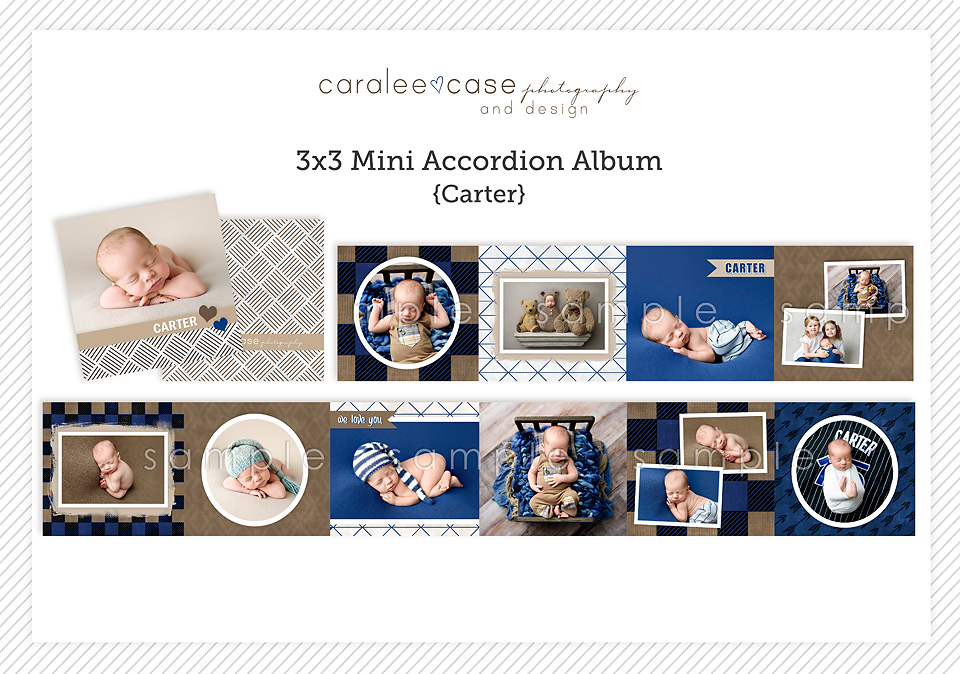 Caralee Case Photography Newborn Posing Lighting EditingWORKSHOPS 2020 mini accordion album template