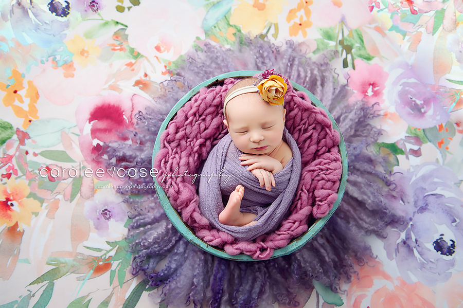 Idaho Falls, ID Newborn Infant Baby Studio Portrait Photographer - Caralee Case Photography
