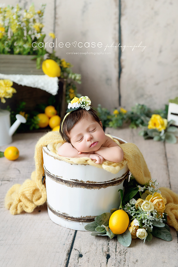 Rigby Idaho Newborn Infant Baby Posing Studio Portrait Photographer ~ Caralee Case Photography