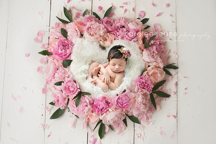 Idaho Falls, ID Newborn Infant Baby Posing Studio Portrait Photographer ~ Caralee Case Photography