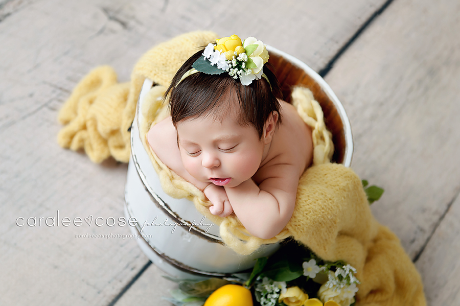 Idaho Falls, ID Newborn Infant Baby Posing Studio Portrait Photographer ~ Caralee Case Photography