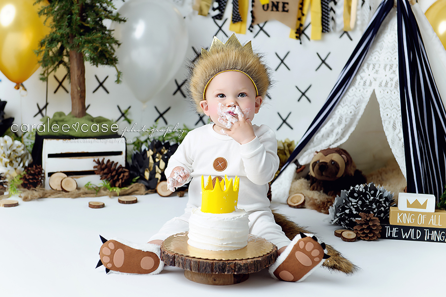 Idaho Falls, ID Baby Child Toddler 1 one year birthday cake smash photographer ~ Caralee Case Photography